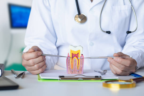 Best Emergency Treatment for Toothache in , MT